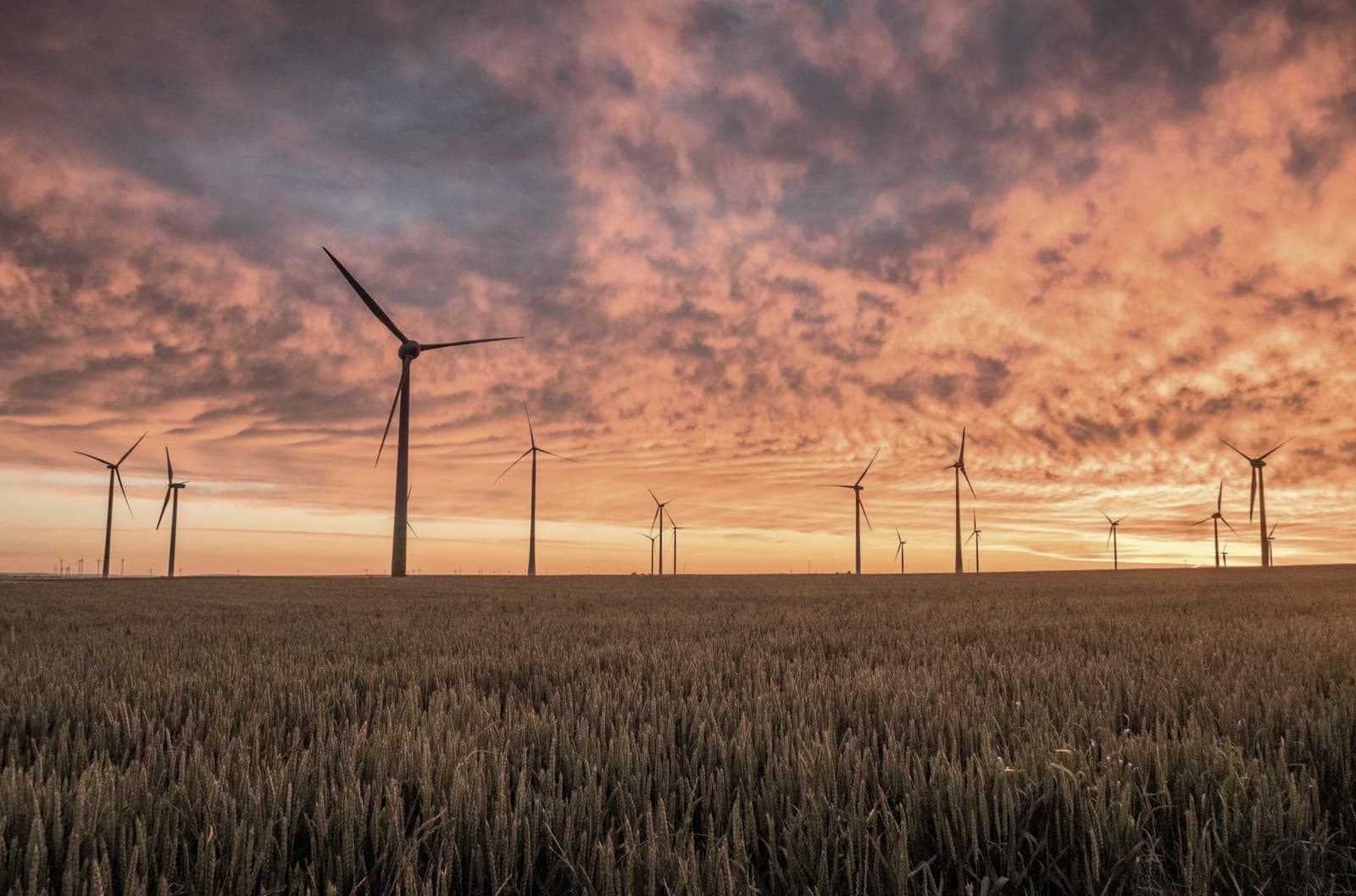 Wind turbines standing across an open field under a heavy sunset sky